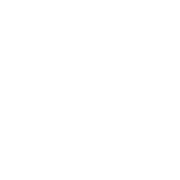 icon1
