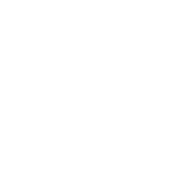 icon2